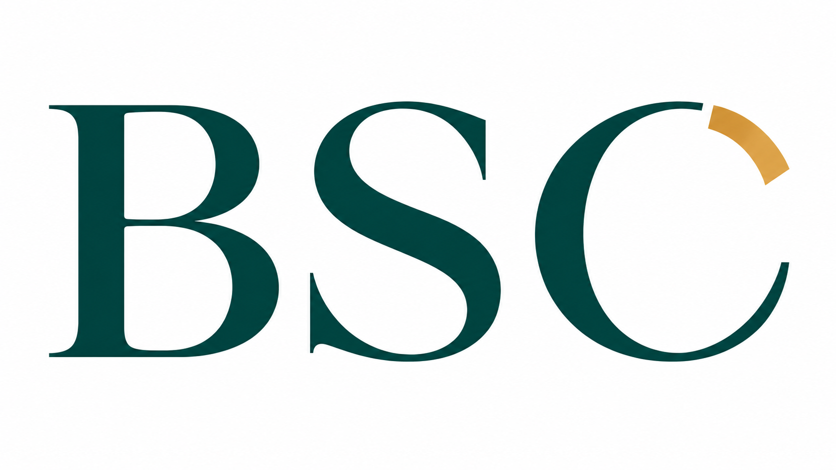 BSC — The Supply Chain Community